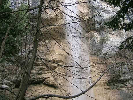 Cascade de l'Enversin et du Bresson