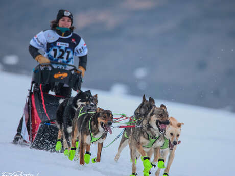 The lekkarod, dog sled race