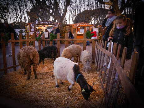 Ferme pédagogique Du 20 au 24 déc 2024