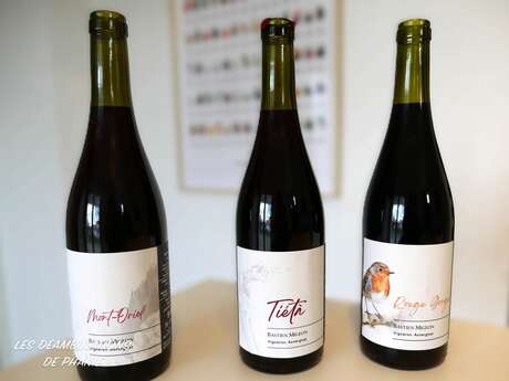 Dégustation / vente au caveau - Bastien Migeon - Vigneron en Auvergne