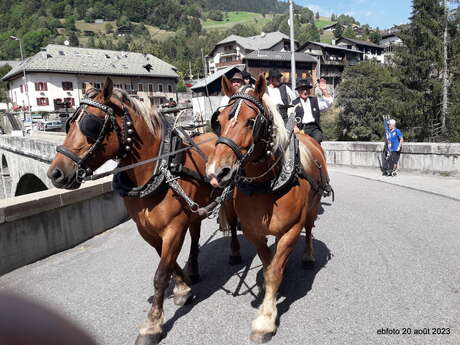 Fête de l'attelage - 39th edition