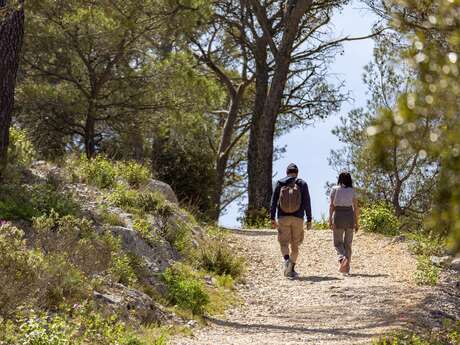 Nature walk at Faron "Humans and nature" - Les RDV Biodivertissants TPM