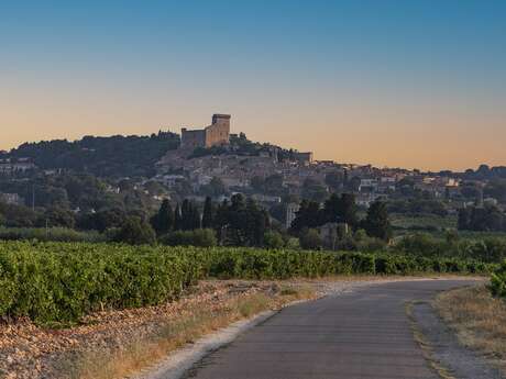 5 - De la Pierre antique d'Orange aux Galets de Châteauneuf-du-Pape
