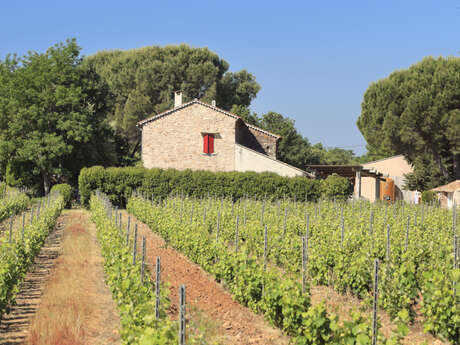 Domaine Borrely Martin