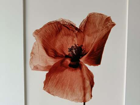 Exposition artistique d’exception