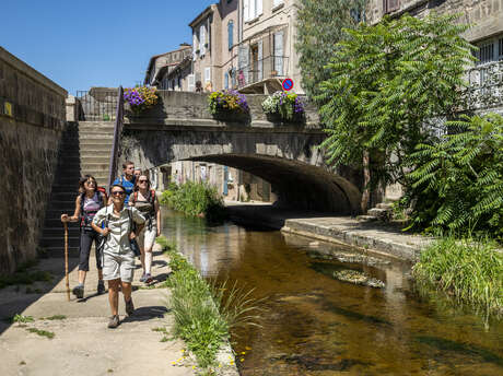 GR®765 Chemin de Compostelle Etape 3 - Montbrison - Marols