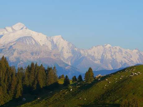 The 1000 metres of Viuz-en-Sallaz