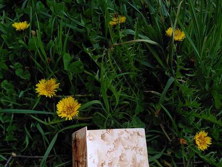 Atelier cahier artistique