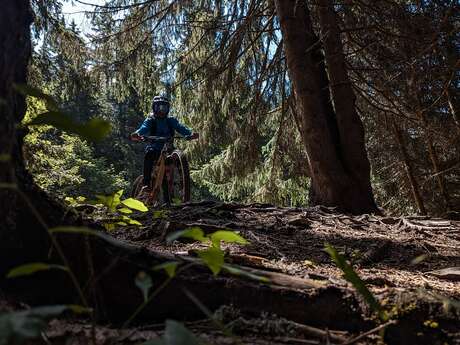 Schwarze Abfahrt „Gypaète“