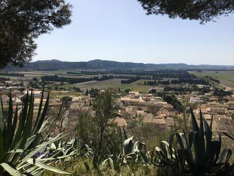 Boucle gravel N° 6-Route des caves coop gardoises