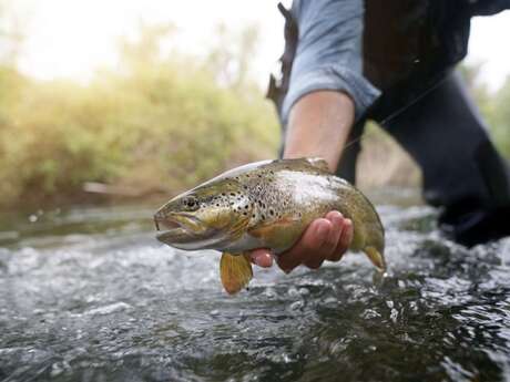 Ouverture de la pêche