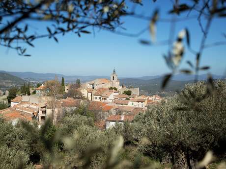 Safari photo : objectif Solliès-Ville