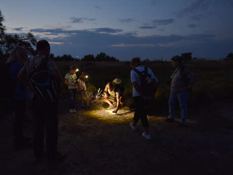 Escales patrimoine : Randonnée à la frontale et observation des étoiles