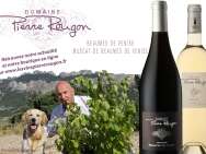 Domaine Font Sante