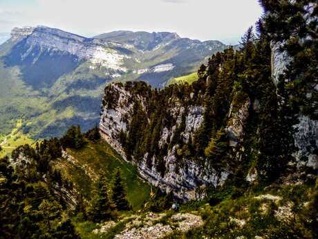 Guided hiking in Chartreuse