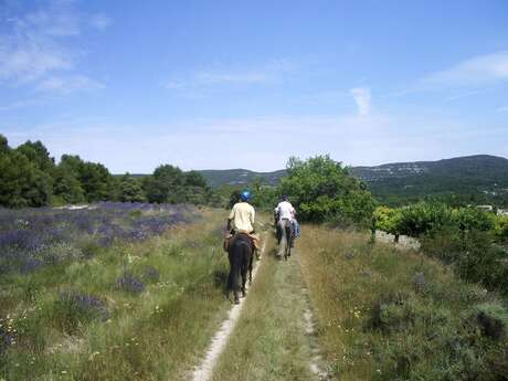 JOUCAS - Col de Murs et col des Trois Termes à cheval