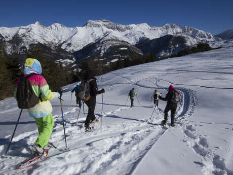 Balade Forestière - Facile 5km A/R