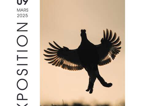 Exposition Photographies "Vercors, rencontres au fil des saisons"