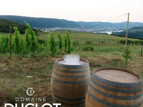 Apéro sunset dans les vignes (Domaine Duclot)