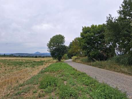 Coulée de l'Ambène