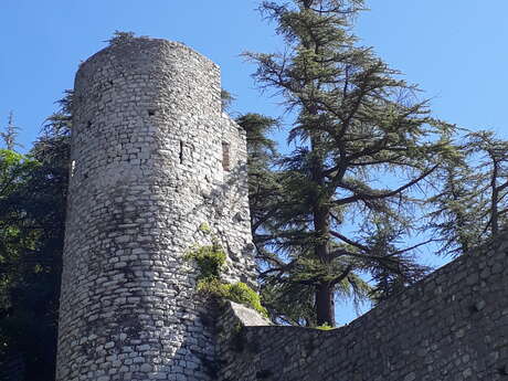 Tour du Fort