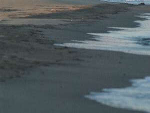 They de la Gracieuse et They de Roustan