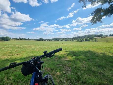 Circuit VTT n°10 - Lé prô, lé beû de Foissiat-Etrez (prés et bois)