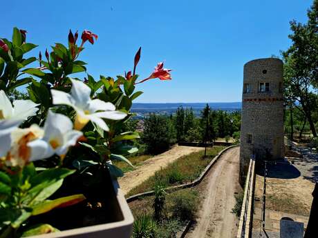 Domaine de la Mautanne