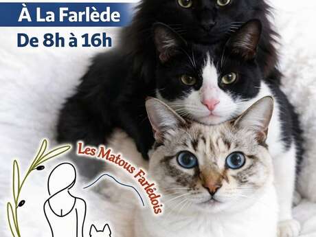 Vide-greniers de l'association Les Matous Farlédois