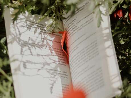 Lecture - Médiathèque en goguette