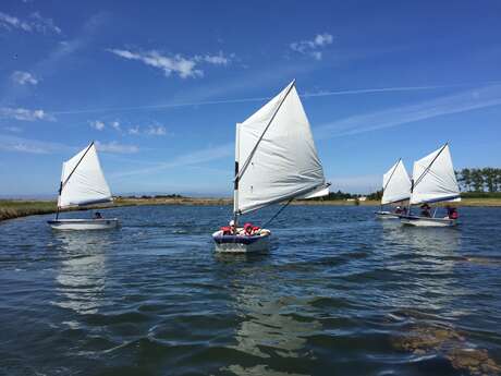 À partir de 6 ans, stage initiation sur le marais des optimists, puis en mer (dériveurs et catamarans)