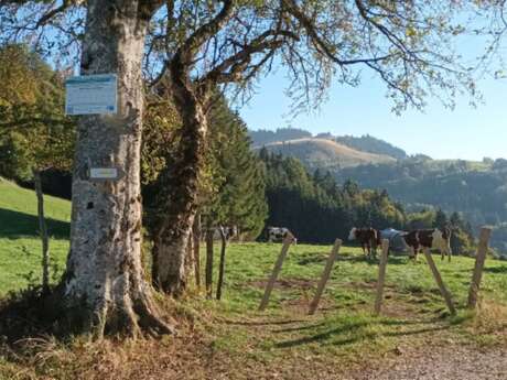 Parcours VTT des Granges Vigny