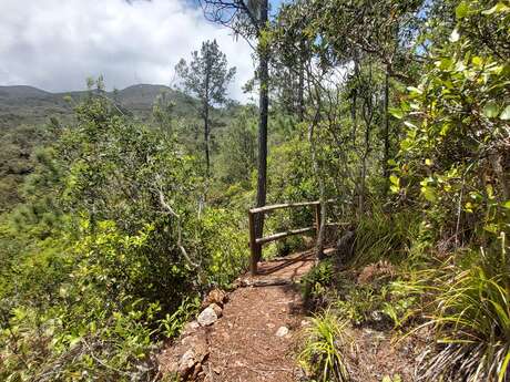 Sentier du Millénaire au Mont Goumba