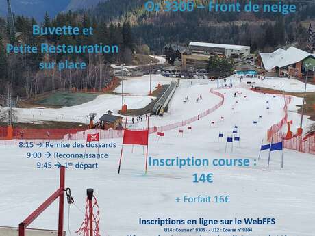 Parallel Slalom Competitie