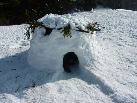 Igloo construction workshop