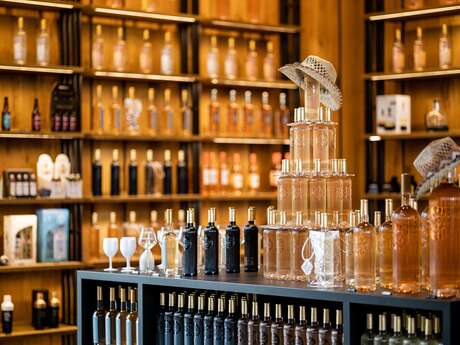 Journée d'étude au coeur d'un vignoble