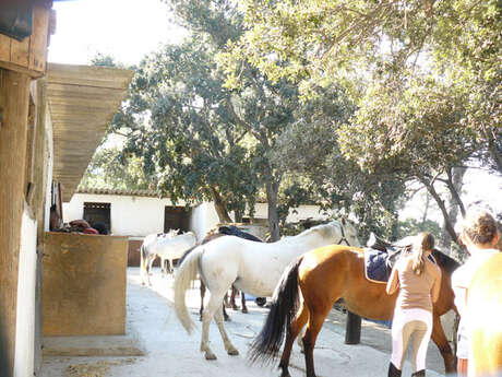 Poney Club des Oratoires