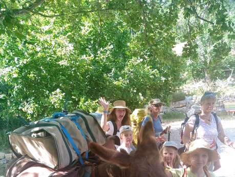 Bivouac sous les étoiles avec les ânes