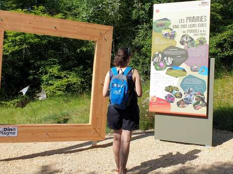 Visites libres de Dinoplagne