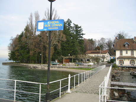 Haven van Tougues