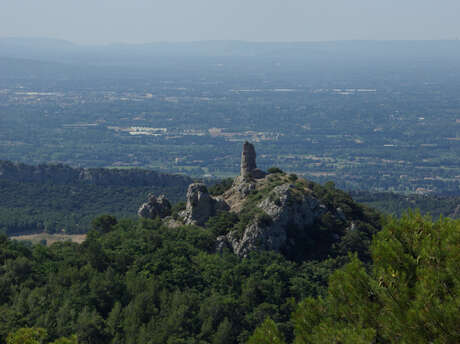 La Tour Sarrazine