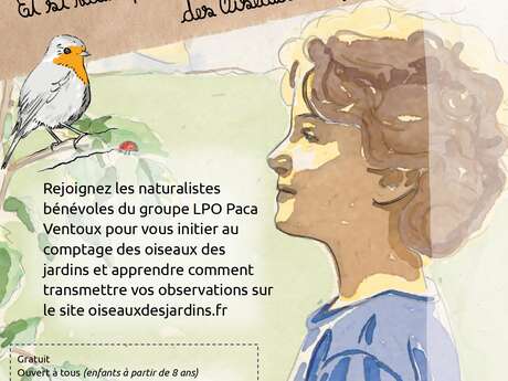 Et si vous participiez au comptage des oiseaux des jardins ?