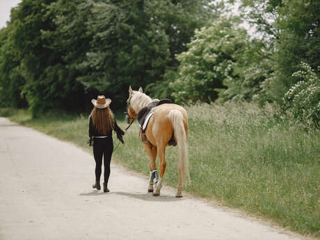 Médiation équestre et equi-coaching