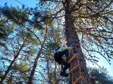 Grimpe dans les arbres pour les ADOS