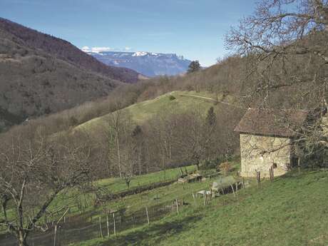 Circuit pédestre des Vignasses - 1h45 - Départ Bourg St-Martin-d'Uriage