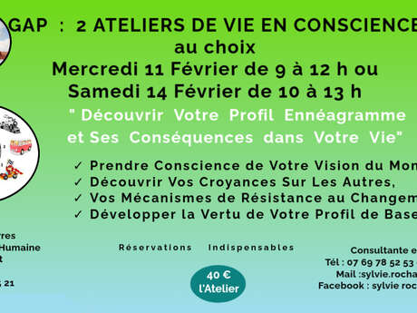 Atelier de Vie en Conscience : Découvrir Votre Profil Ennéagramme et Ses Conséquences Dans Votre Vie