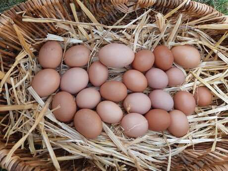 La ferme les cocottes d'Elo