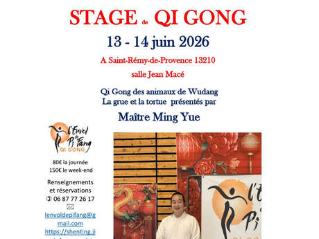 Qi gong course with a Chinese master