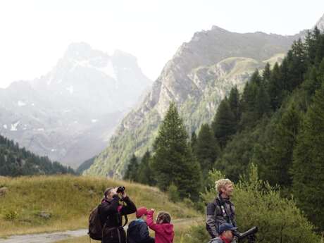 La Réserve de Ristolas - Mont Viso au petit jour