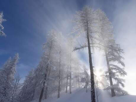 Ciné Vallouise : "En attendant la neige"